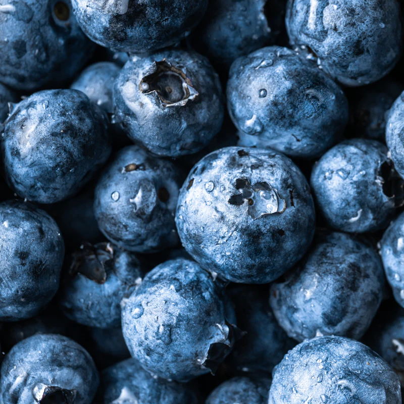 Fresh Blueberries Pint β Fresh Produce at Peasley Store
