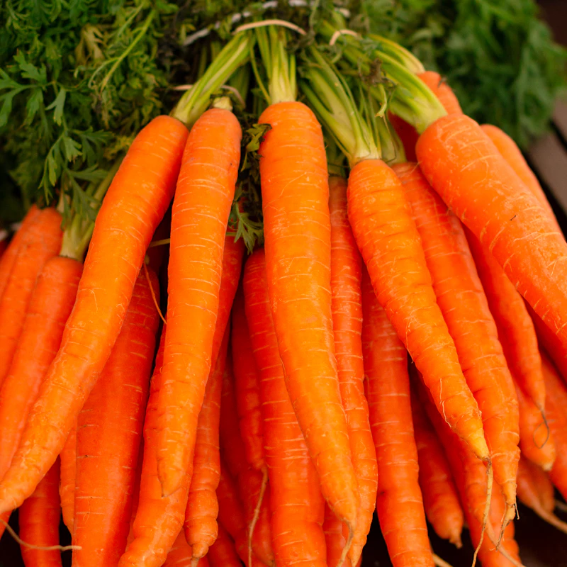 Rainbow Carrot Bunch β Fresh Produce at Peasley Store